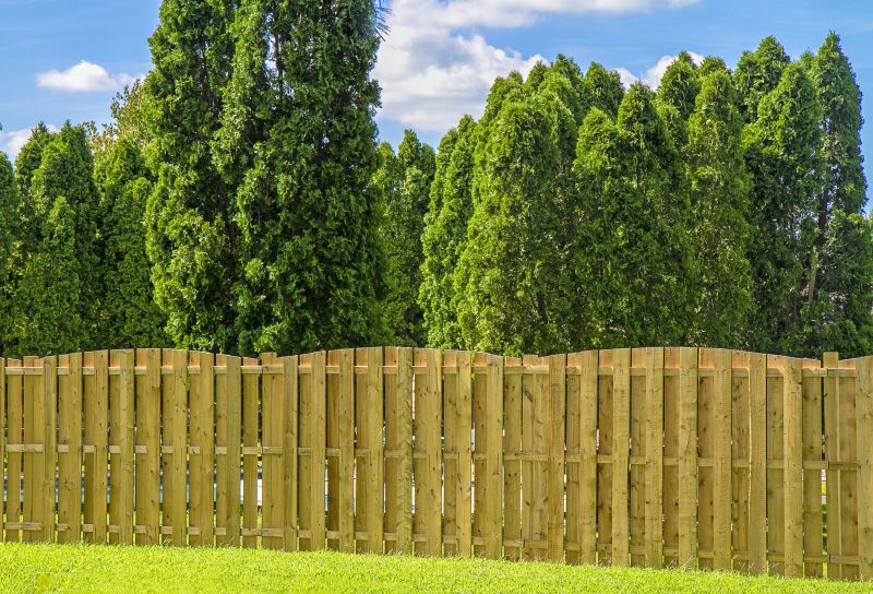 Privacy Wood Fence
